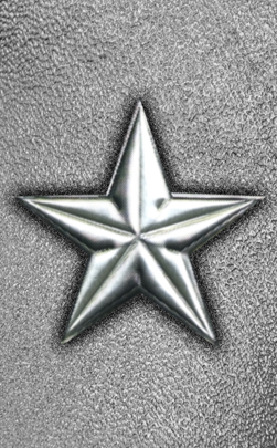 DP313-430-SL-SH-SL Silver Star Shimmer Silver